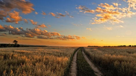 LANDFLIP Founder Discusses the Surging Land Market on The Land Show